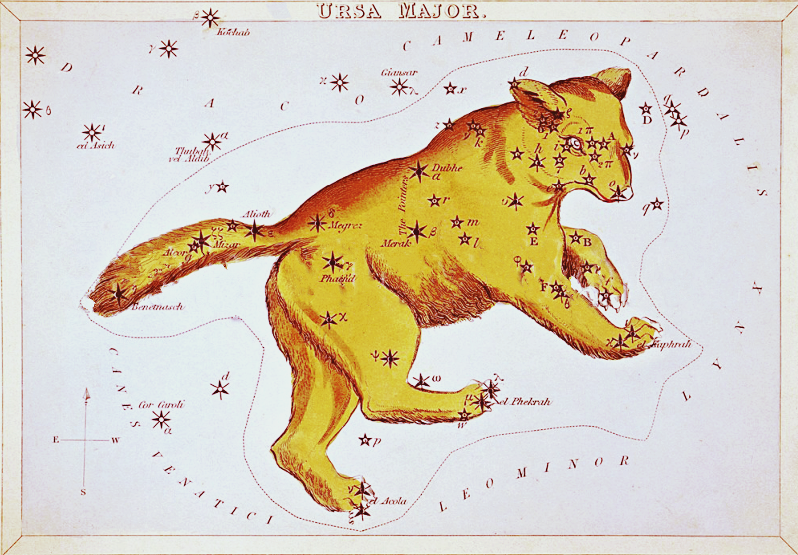 Ursa Major