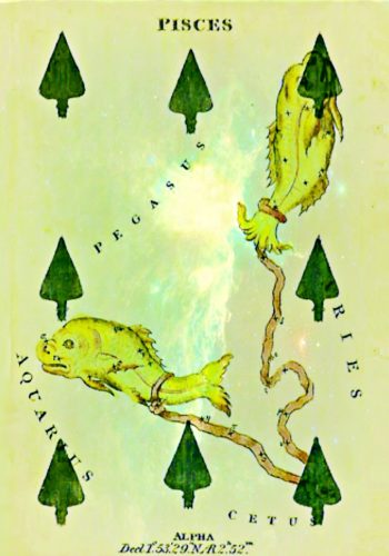 8 of spades – Pisces fish pisces