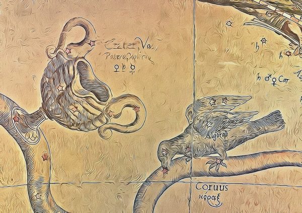 Corvus Astrology